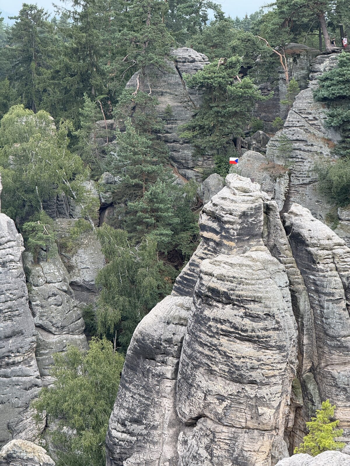 Tours de grès entre les pins, Prachovské skály (Tchéquie)